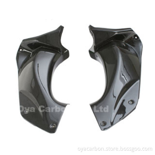 Carbon Fiber Motorcycle Accessories (2)
